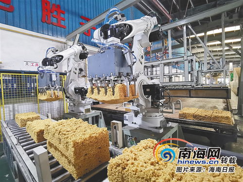 海南橡胶自我革新开新局 转型升级激活力