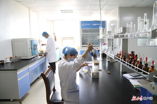 从不愁卖到定制化 甘南牦牛肉 食 力玩转高端局凤凰网甘肃 凤凰网