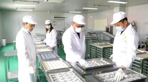 鼎源食品成功研发生胚发面速冻小笼包