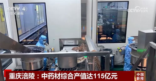 科技加持 政策发力 多领域 硕果累累 释放中国经济增长潜力