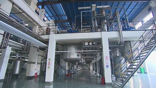 县城里走出全球销量冠军