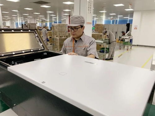 高新区8名个人4个集体获市委表彰