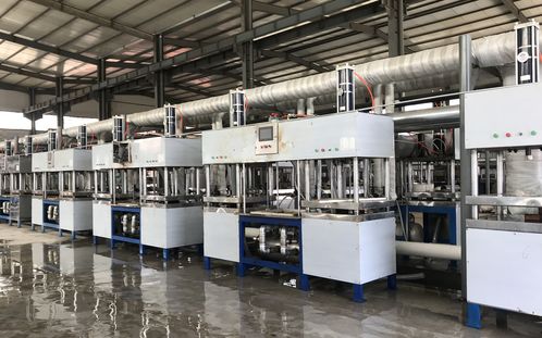 未来5年中国纸浆模塑市场规模前景分析 可降解餐具