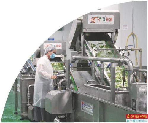 莞企积极参与净菜团体标准制定与炒菜机器人研发，推动模塑技术革新