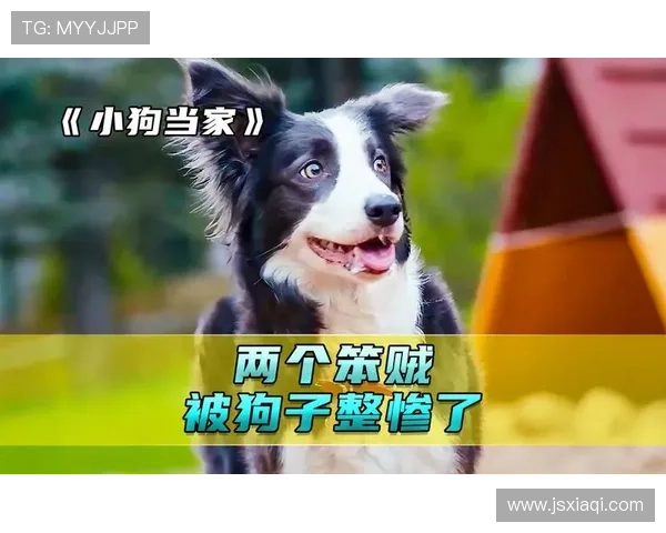 小犬当家:一只聪明小狗引领家庭冒险的温馨故事 小犬当家:一只聪明小狗引领家庭冒险的温馨故事