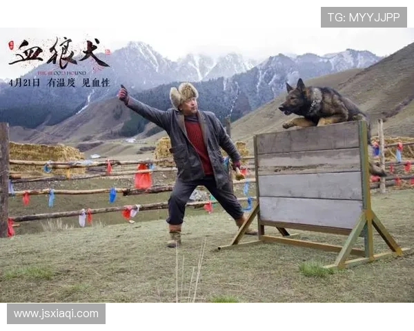 人狗情缘：一段跨越生命的温情与守护